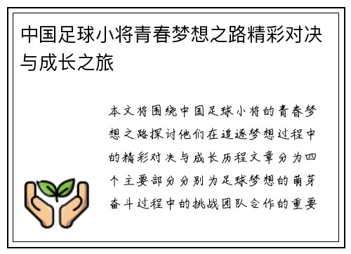 中国足球小将青春梦想之路精彩对决与成长之旅