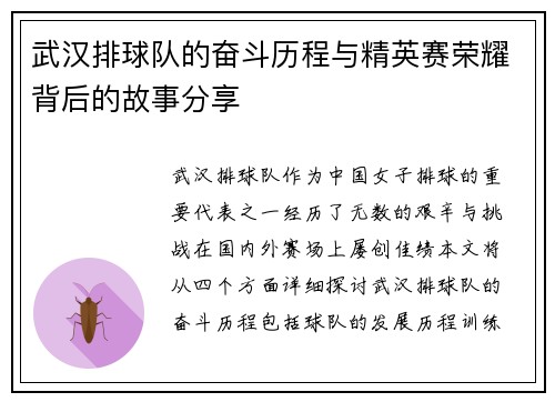 武汉排球队的奋斗历程与精英赛荣耀背后的故事分享